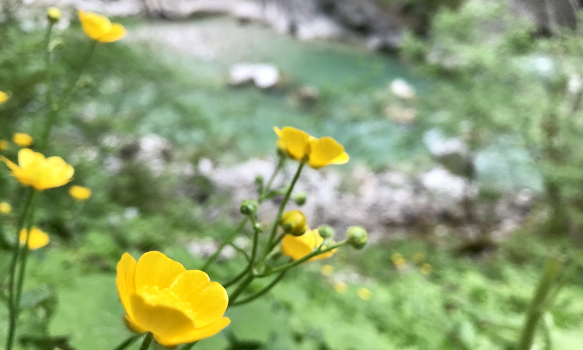 Tiefenbachklamm Anfahrt - der Weg in die Natur