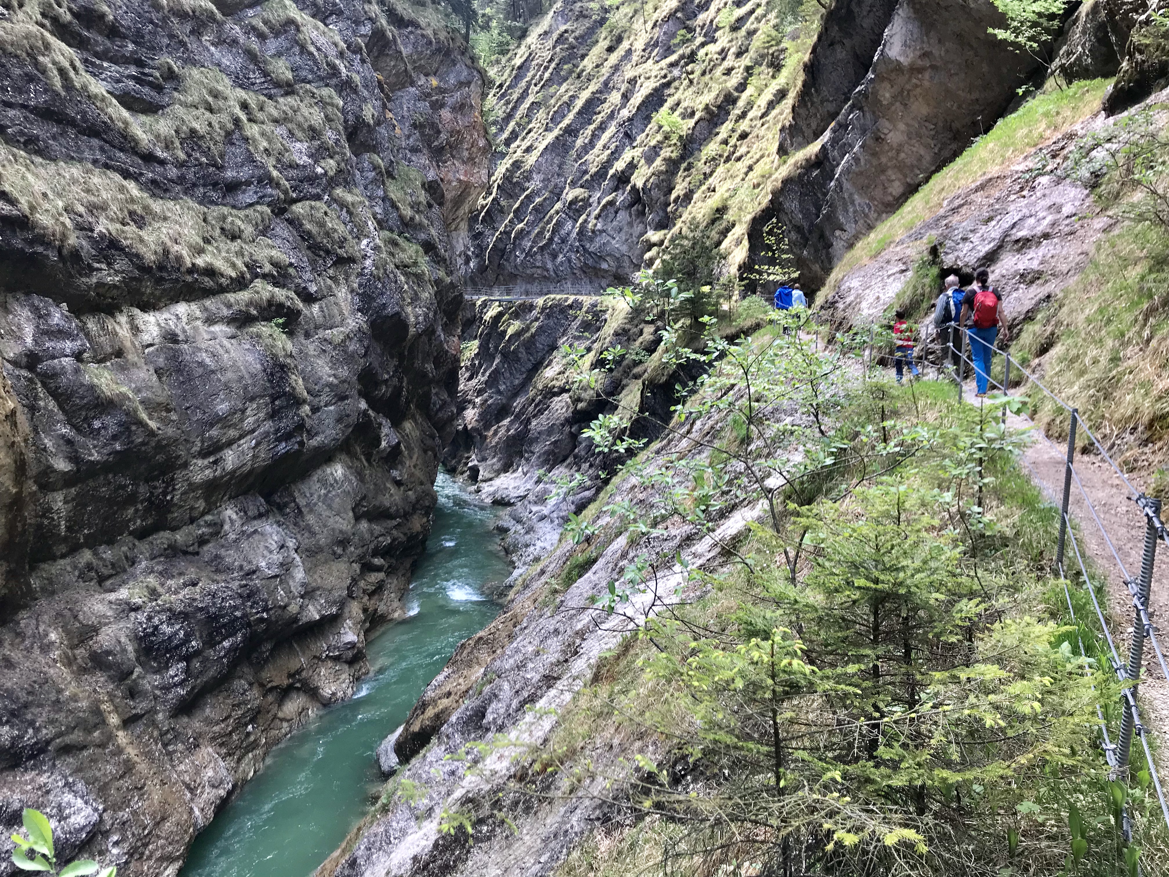 Nach der Tiefenbachklamm Anfahrt erwartet dich diese tolle Natur beim Wandern