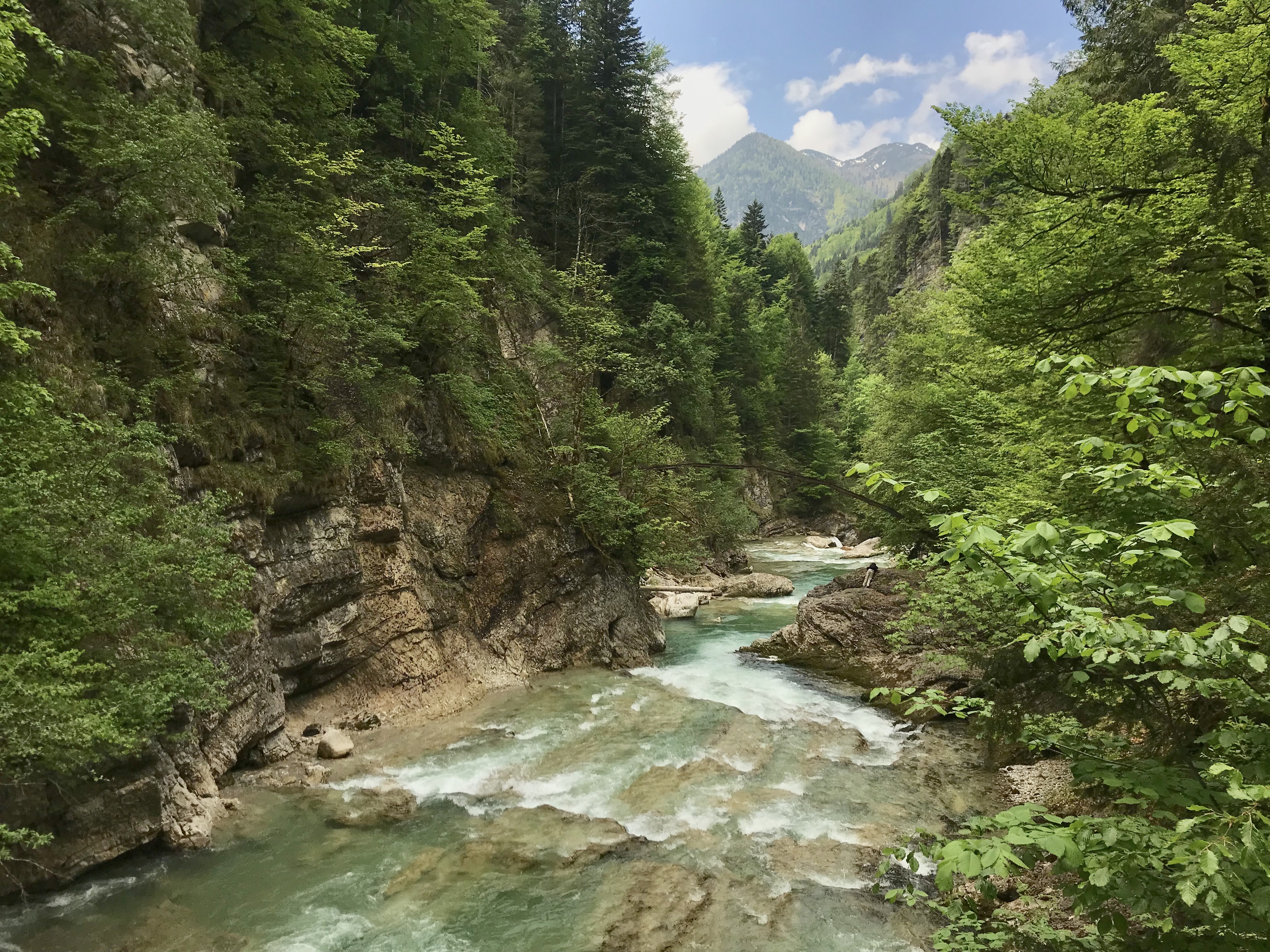 Türkis schimmert das Wasser in der Tiefenbachklamm