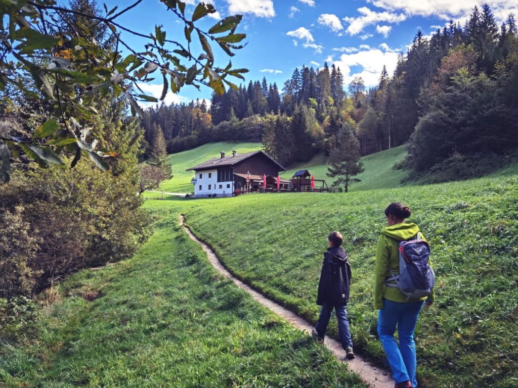 Auf dieser Wiese endet die Tiefenbachklamm Wanderung