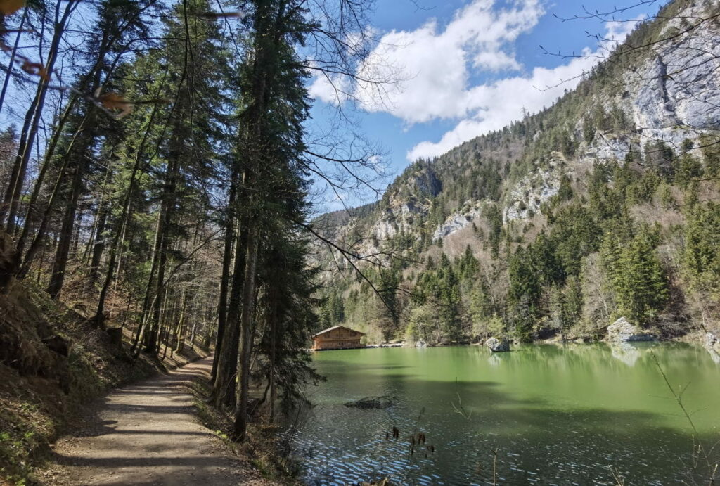 Links im Bild, der breite Wanderweg direkt am Berglsteinersee