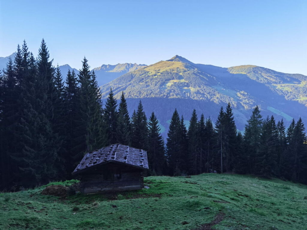 Der Blick über das Alpbachtal auf das Wiedersberger Horn (2127 m)