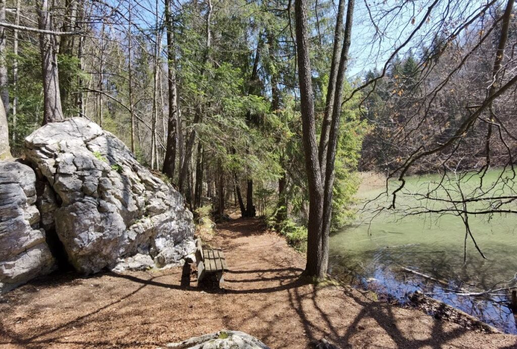 Der Zauberwald am Berglsteiner See in Tirol