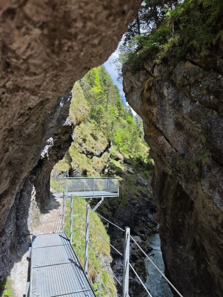 Tiefenbachklamm mit Hund?